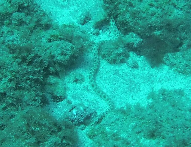 Divecenter Santiago-Tarrafal必去景点