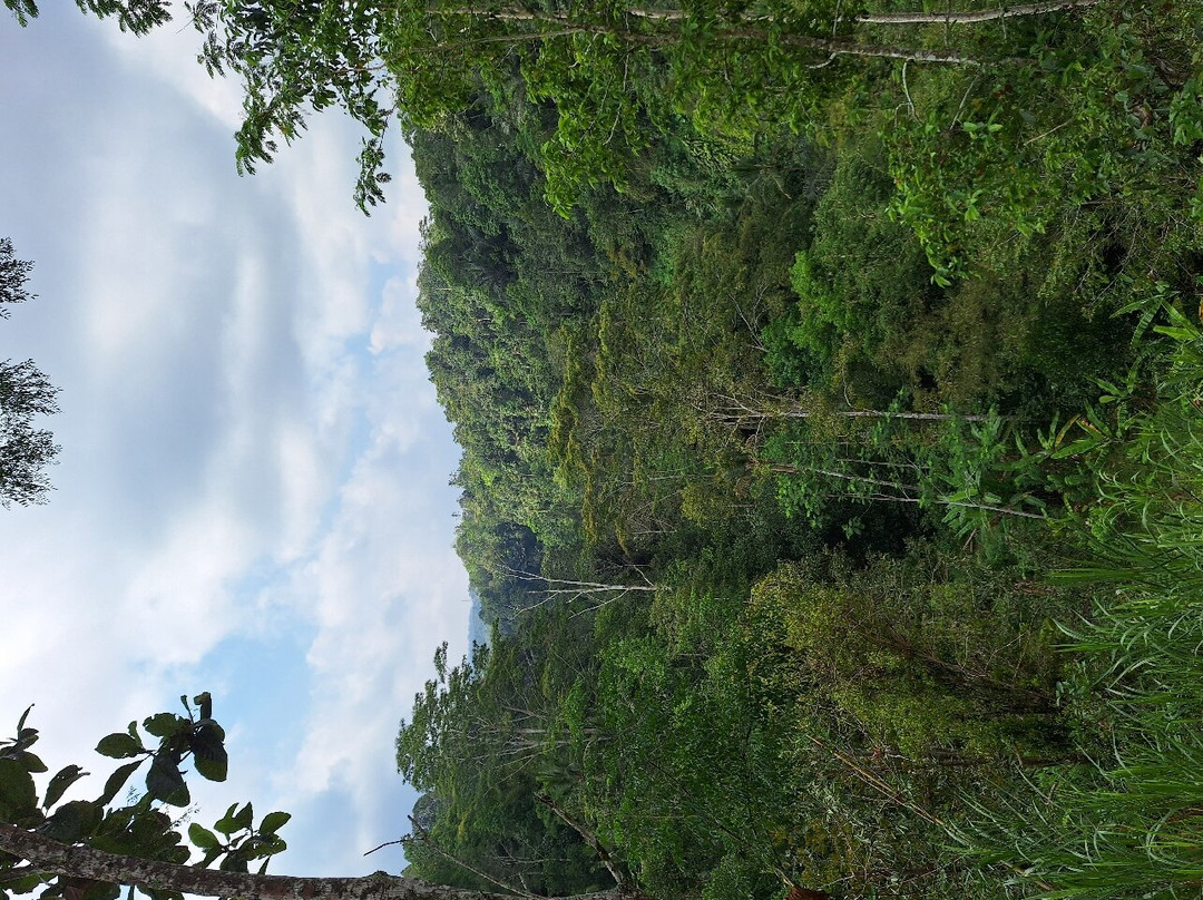 LADINAtour-登巴萨必去景点