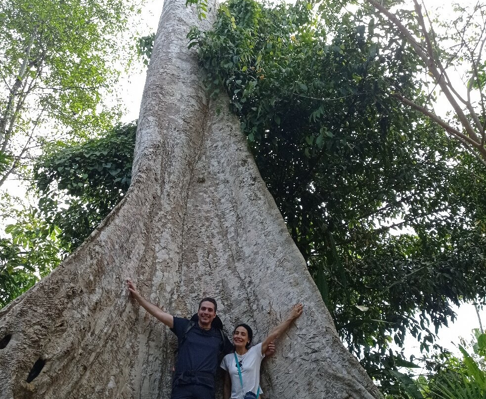 Oxígeno Amazonas景点图片