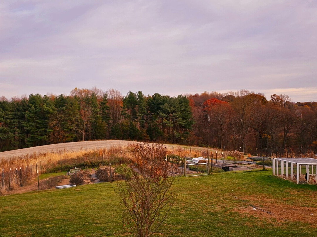 Joy in Hand Flower Farm-Forest Hill必去景点