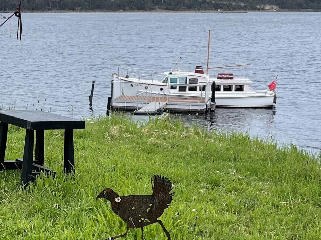 Huon River Cruises-Castle Forbes Bay必去景点