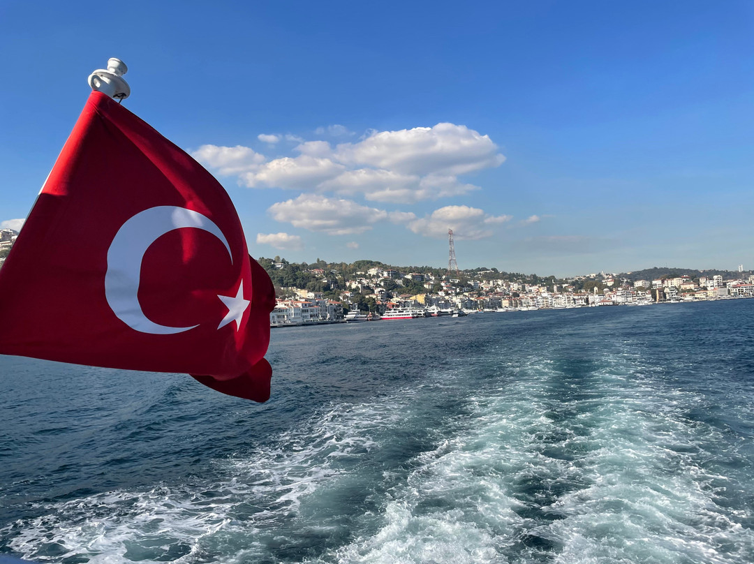 Istanbul Bosphorus Cruise-伊斯坦布尔必去景点