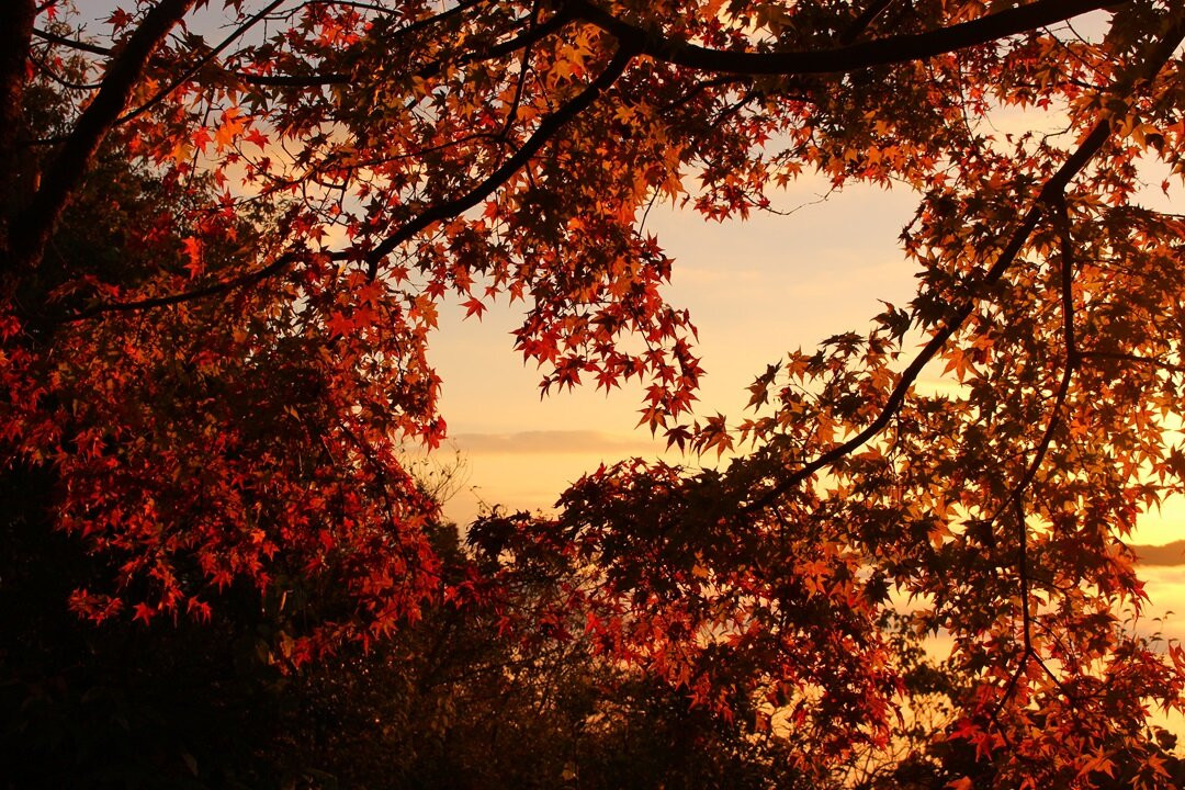 Futatsuyama Castle Ruins-邑南町必去景点