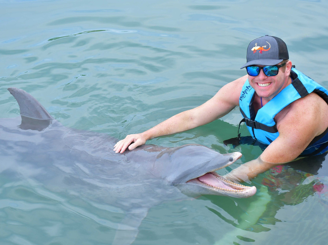 Dolphin Discovery Dreams Puerto Aventuras-阿范特拉斯港必去景点