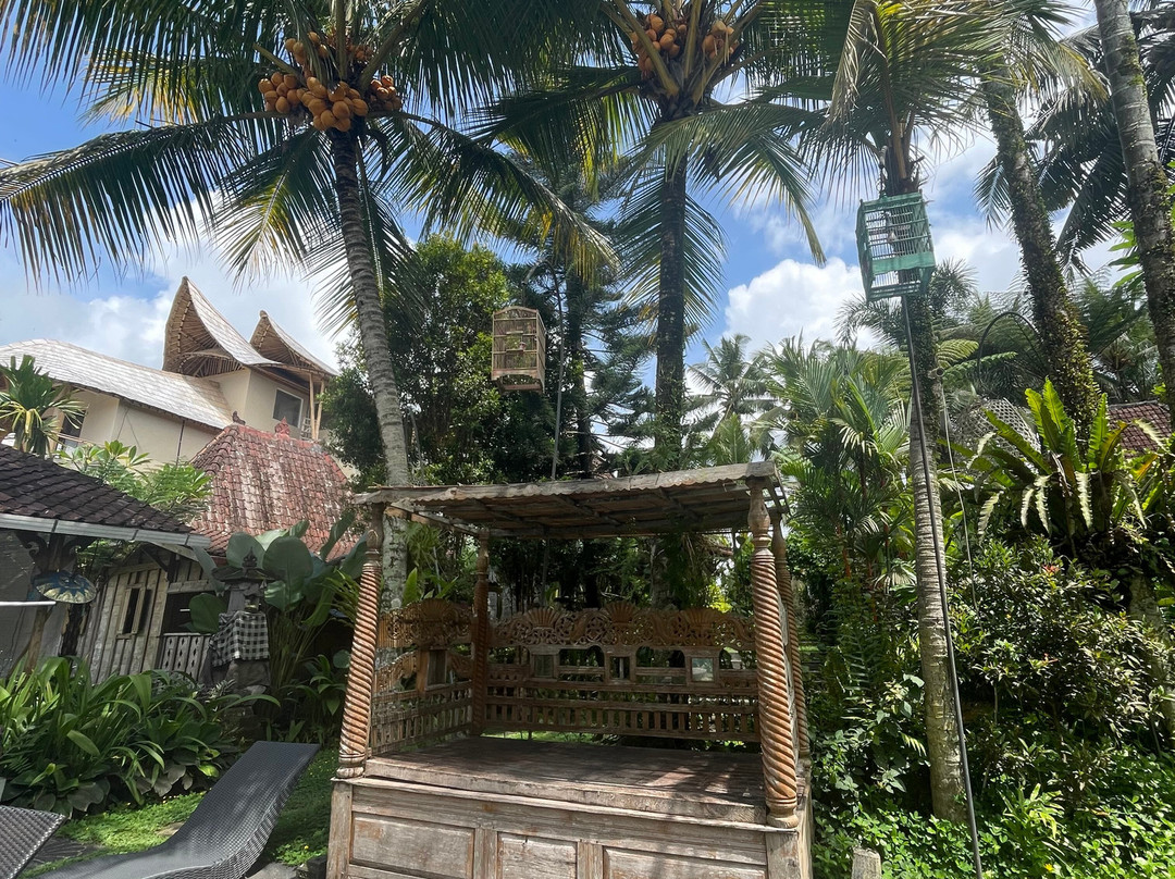 Hati Padi Cottages主图