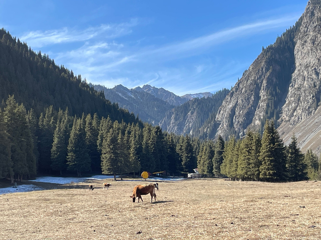 南山白杨沟风景区西白杨沟景点图片