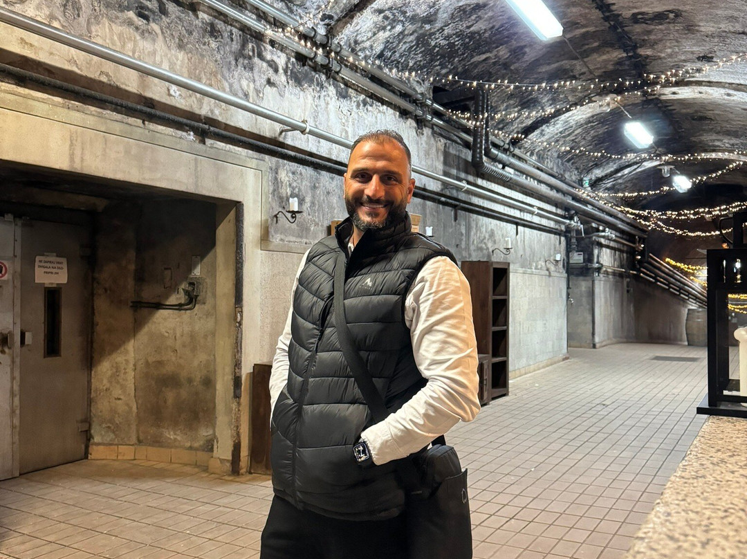 Vinag Wine Cellar-马里博尔必去景点