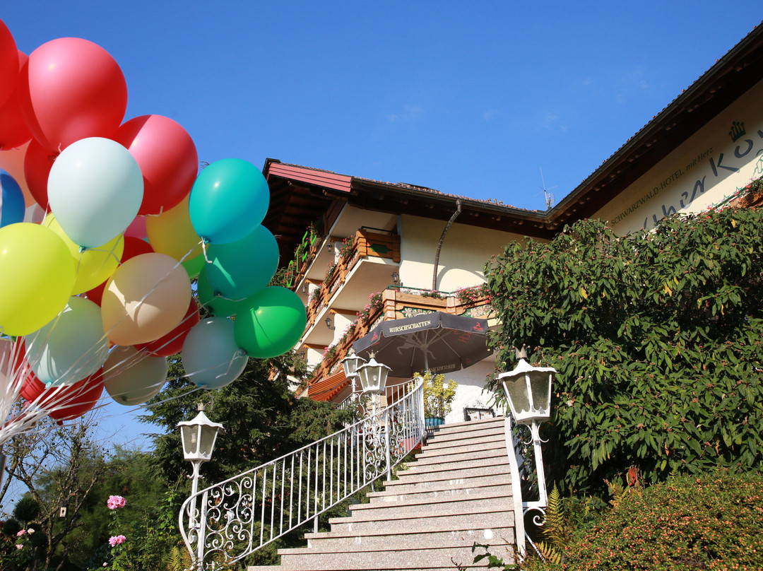 Hotel Silberkönig主图