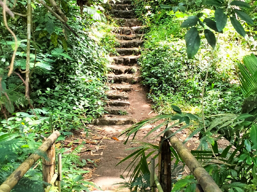 Sekumpul and Fiji Waterfall景点图片