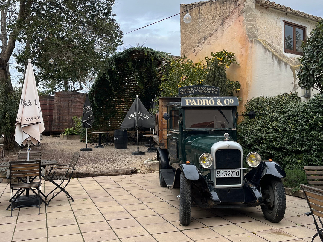 Casa Vermouth Padró景点图片