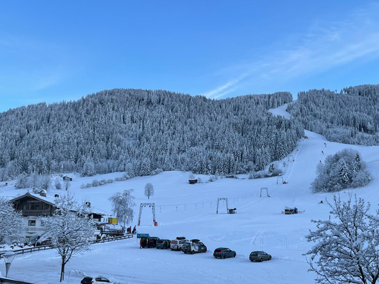 Harfenwirt Hotel主图