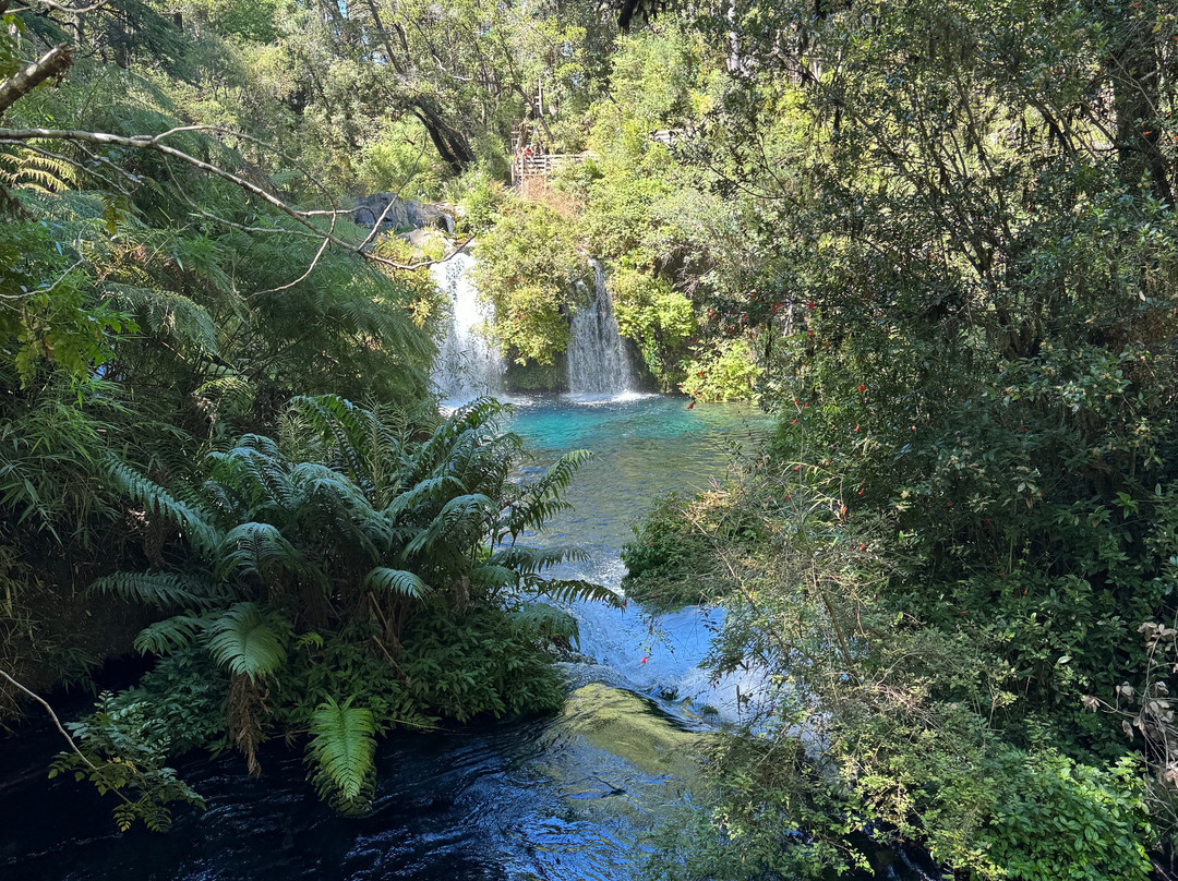 Parque Ojos del Caburgua-普孔必去景点
