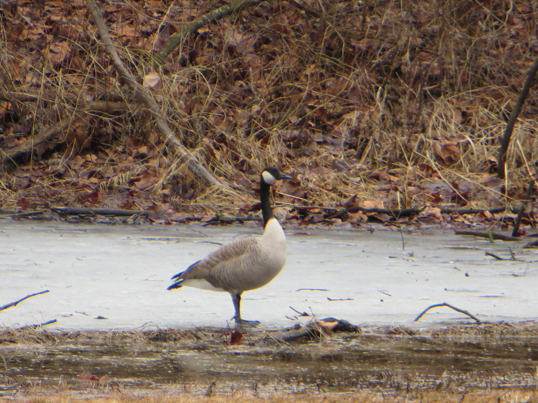 Argos Community Park-Argos必去景点