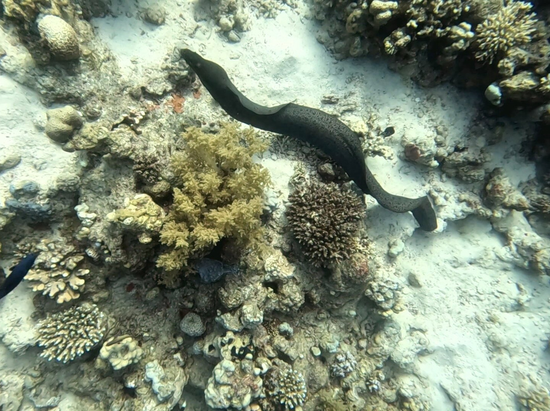 Extra Divers Sharm El Naga-Safaga必去景点