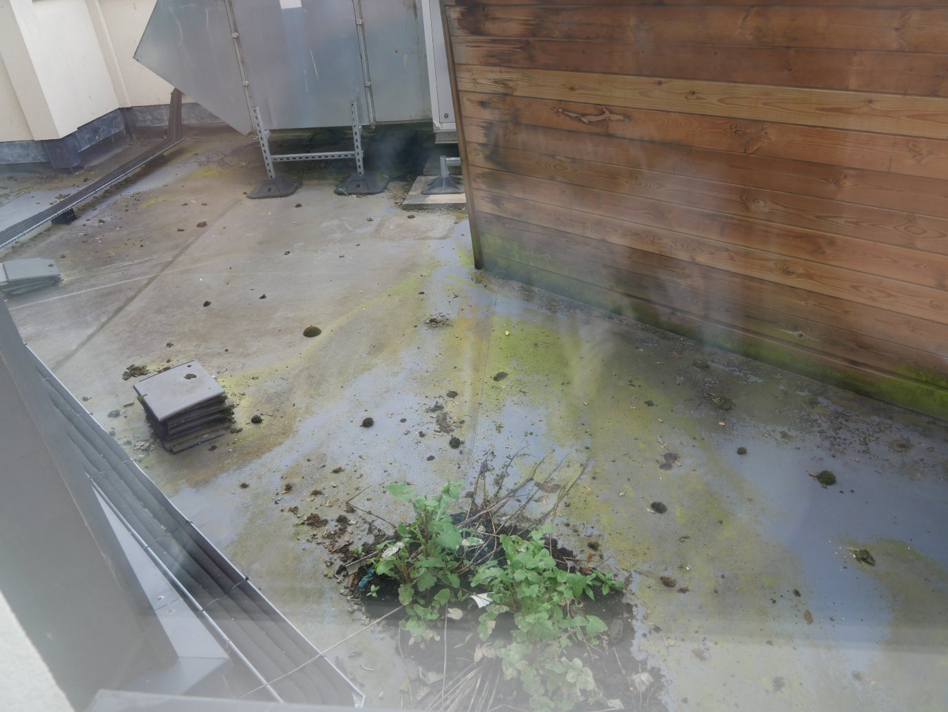 韦尔普瑞米尔酒店-酒店景观