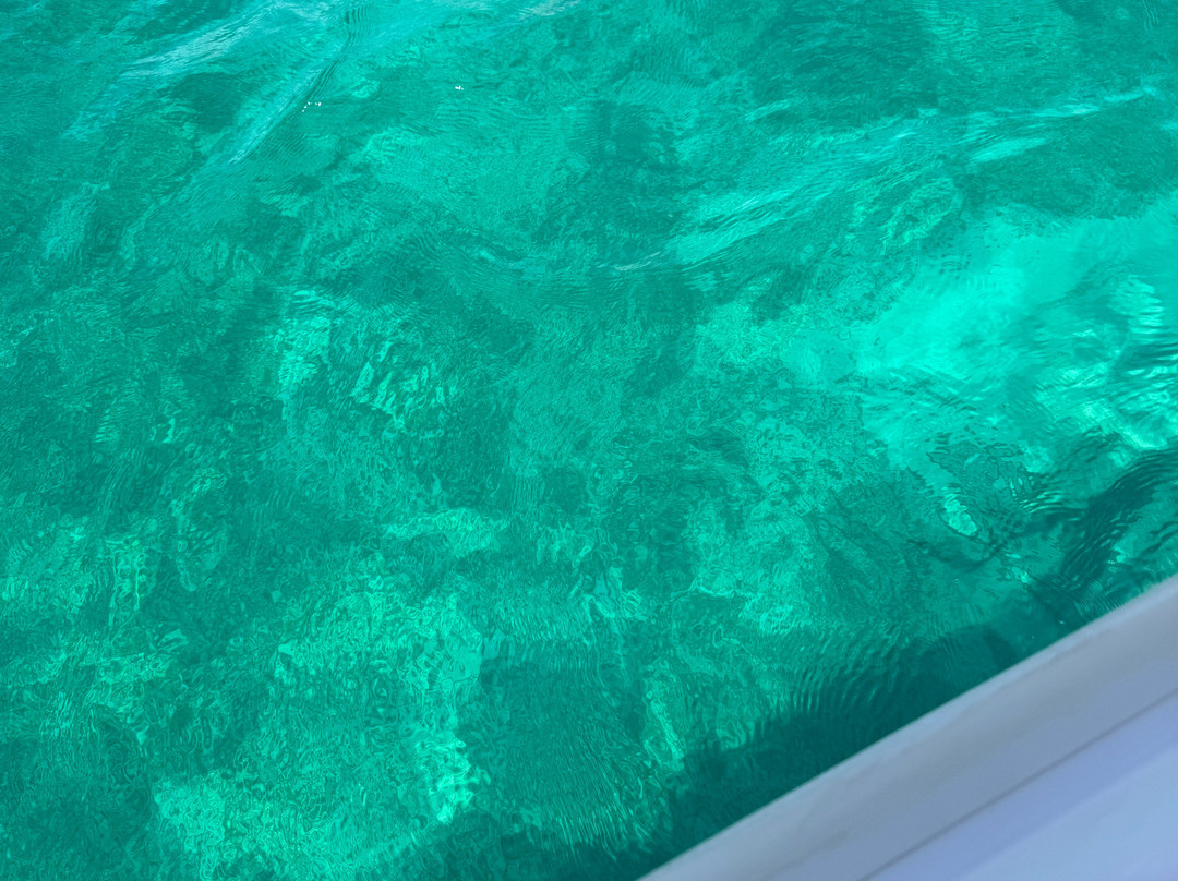 Creole Rock Water Sports-格兰德凯斯必去景点