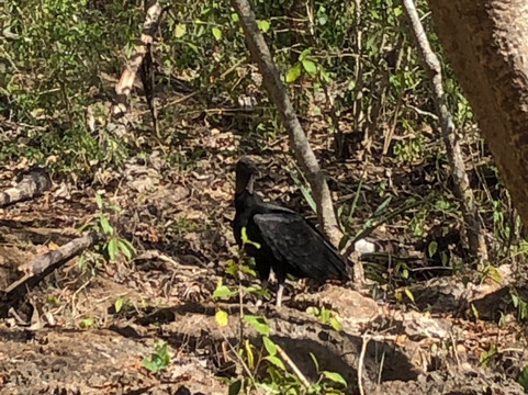 Yucatan Dive Center-梅里达必去景点