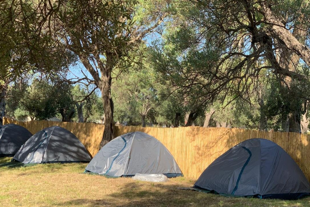 Olive Camping Caravan