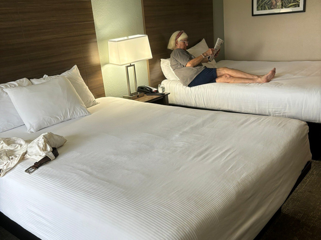 ROADSTAR HOTEL ZEPHYRHILLS主图