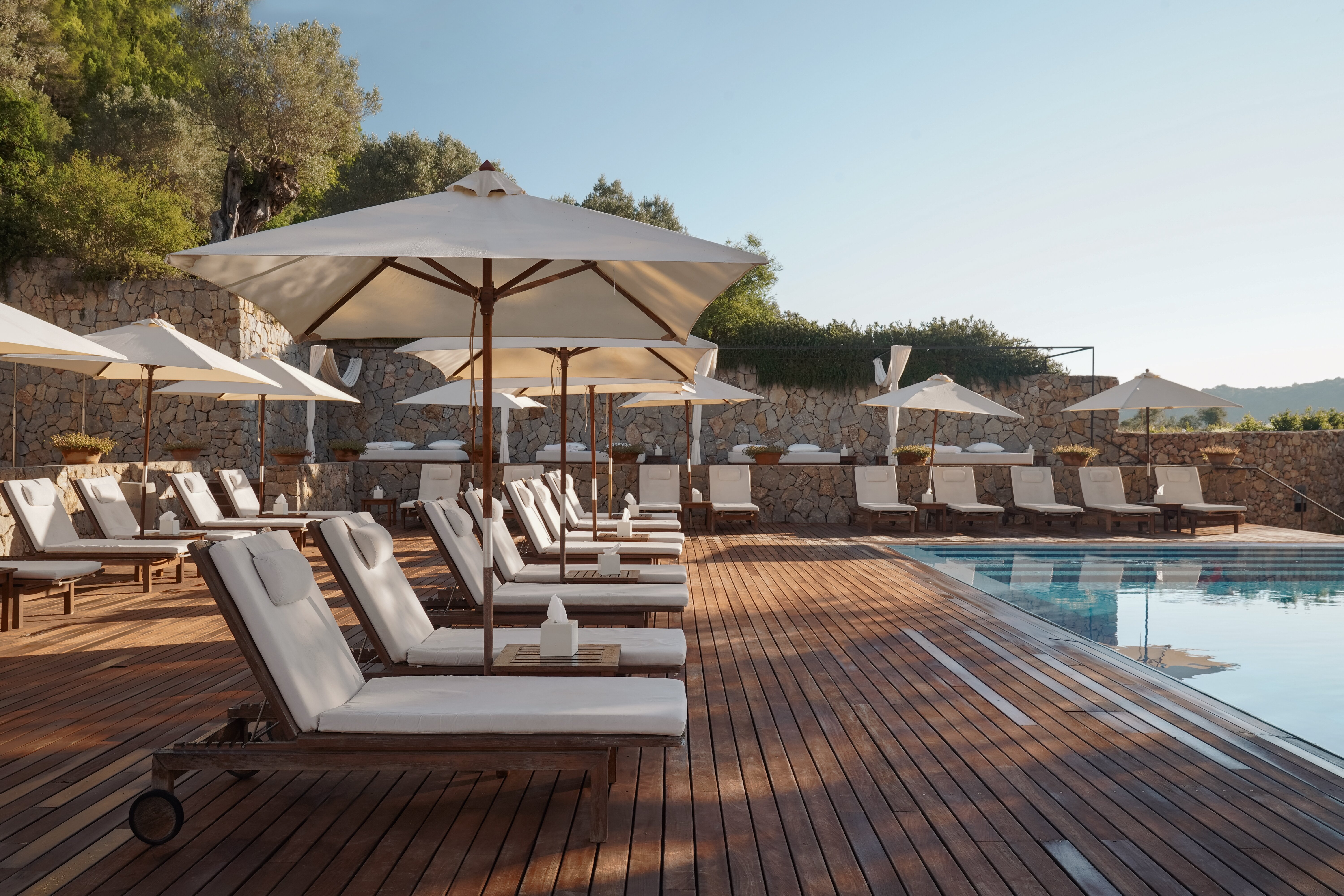 Son Brull Hotel & Spa-泳池