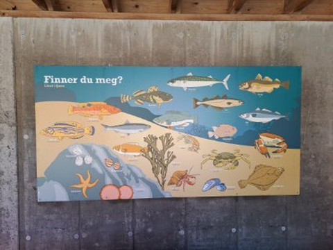 Røvær Havbrukssenter-Rovaer必去景点