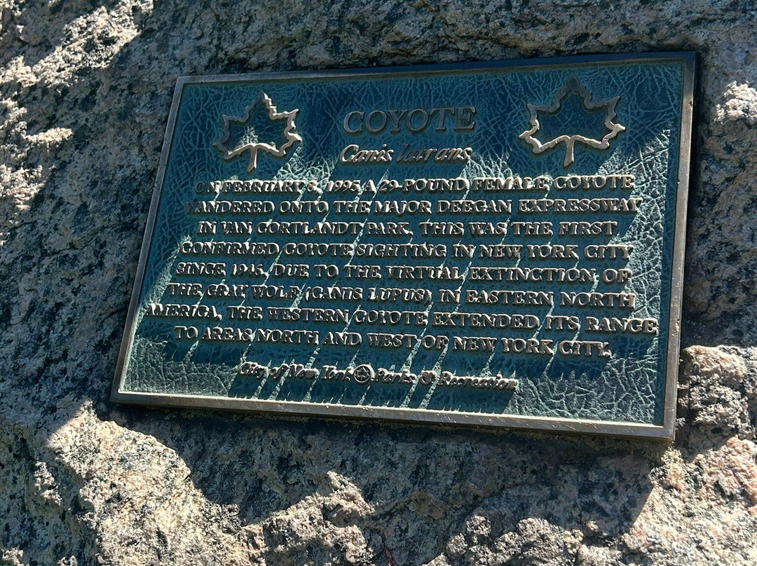 Van Cortlandt Park-布朗克斯必去景点