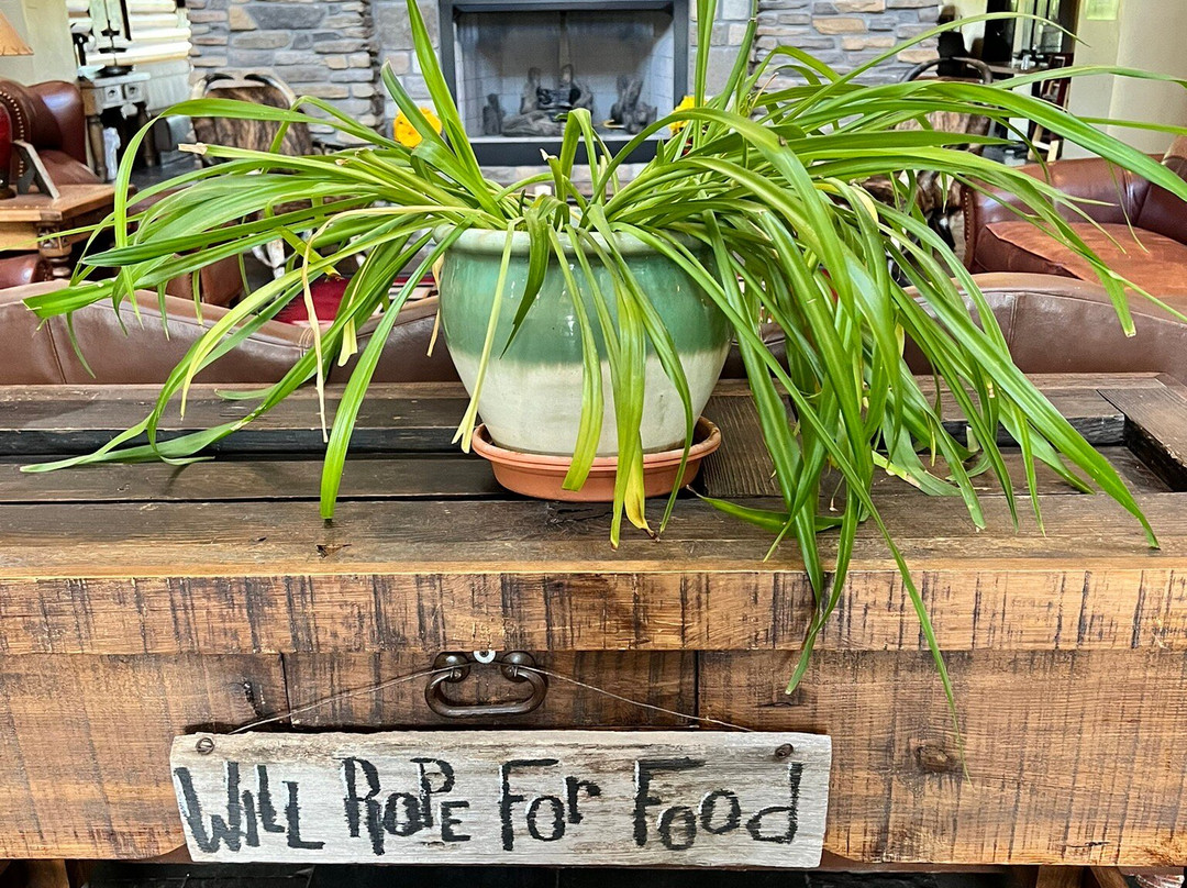 The Inn at Circle T主图