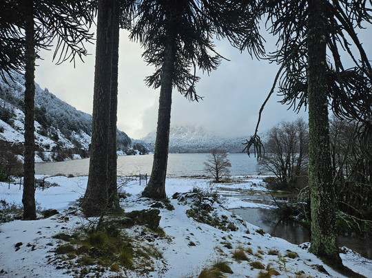 GoPucon Turismo Aventura-普孔必去景点