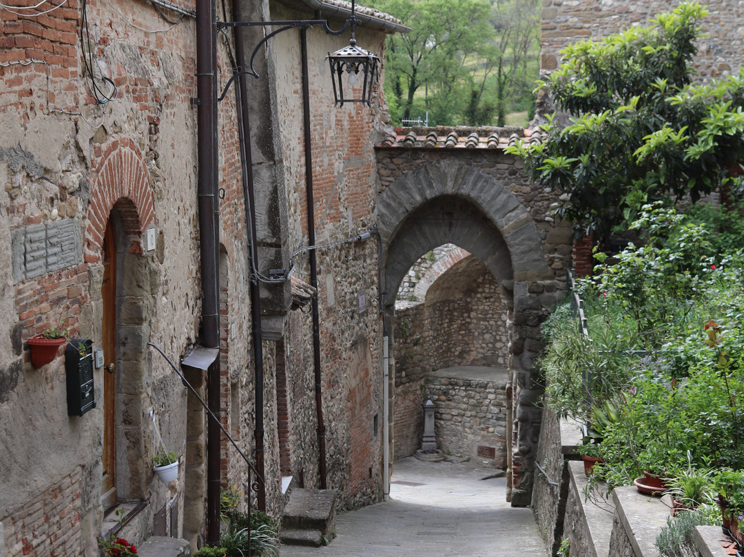 N'tra Le Mura D'Anghiari景点图片
