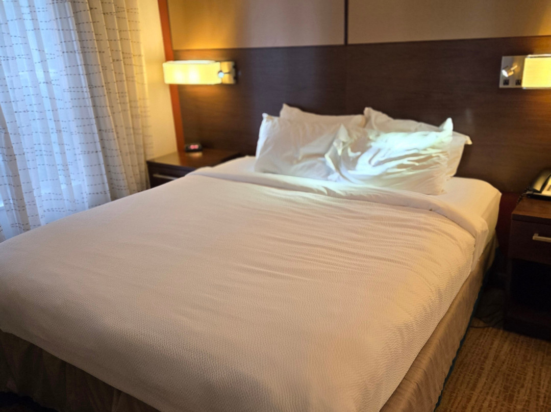 Residence Inn by Marriott Albany Washington Avenue主图