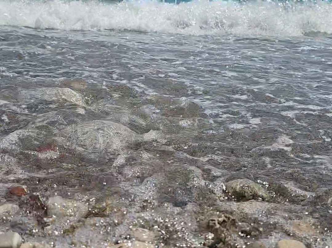 Transatlantik Beach Hotel主图