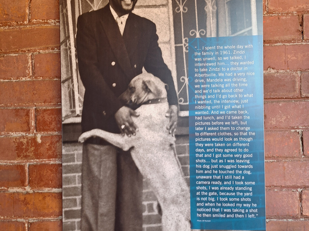 Shane Gouldie-约翰内斯堡必去景点