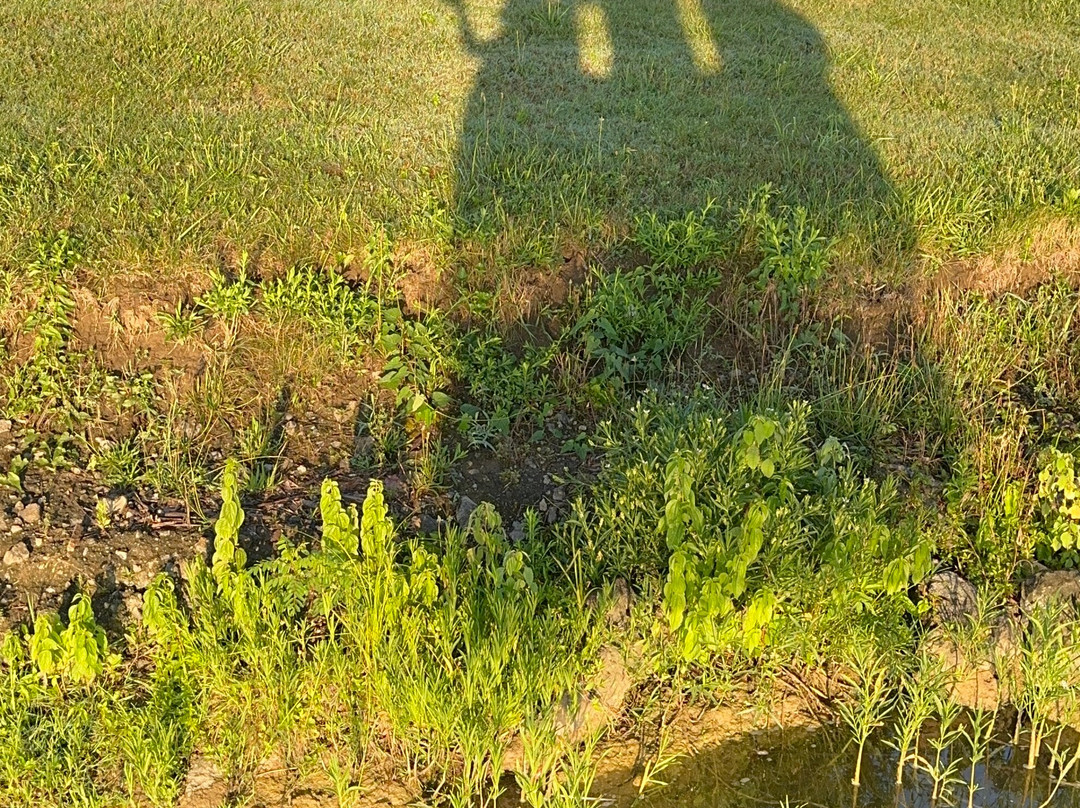 Gentle Breeze Hot Air Balloons-Lebanon必去景点
