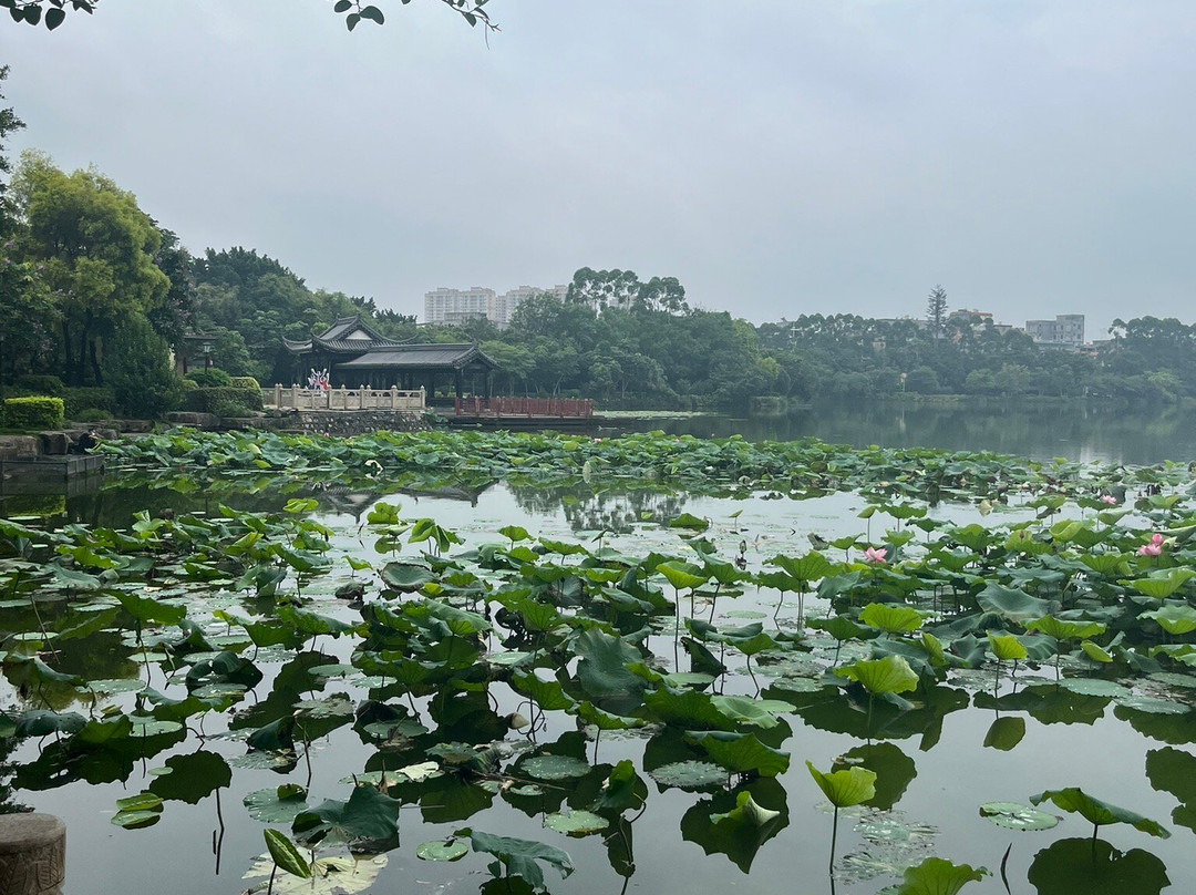 贵港东湖-贵港市必去景点