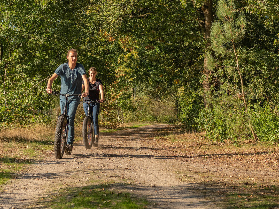 Fatmax In De Peel-Meijel必去景点