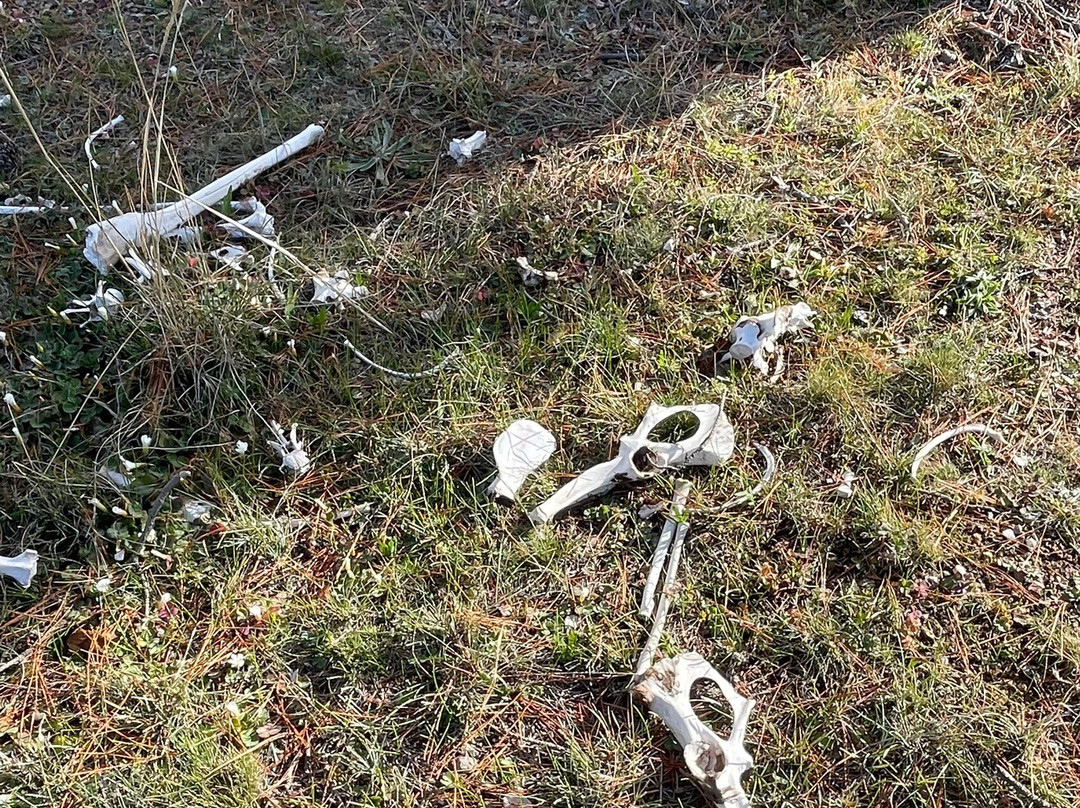 Rushworth Cemetery-拉什沃思必去景点