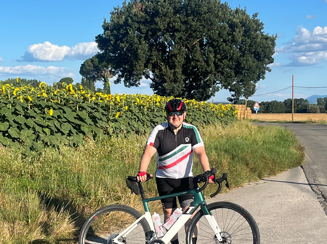 Siena Bike Shop-锡耶纳必去景点