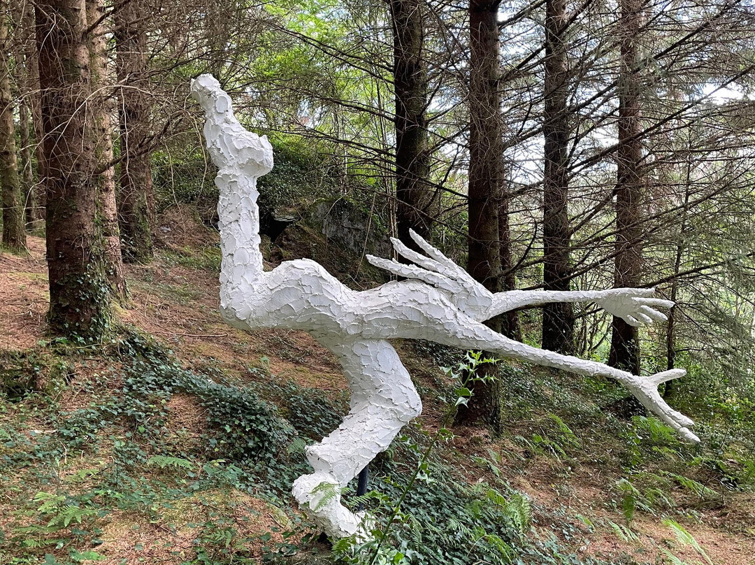 The Ewe Experience-Glengarriff必去景点