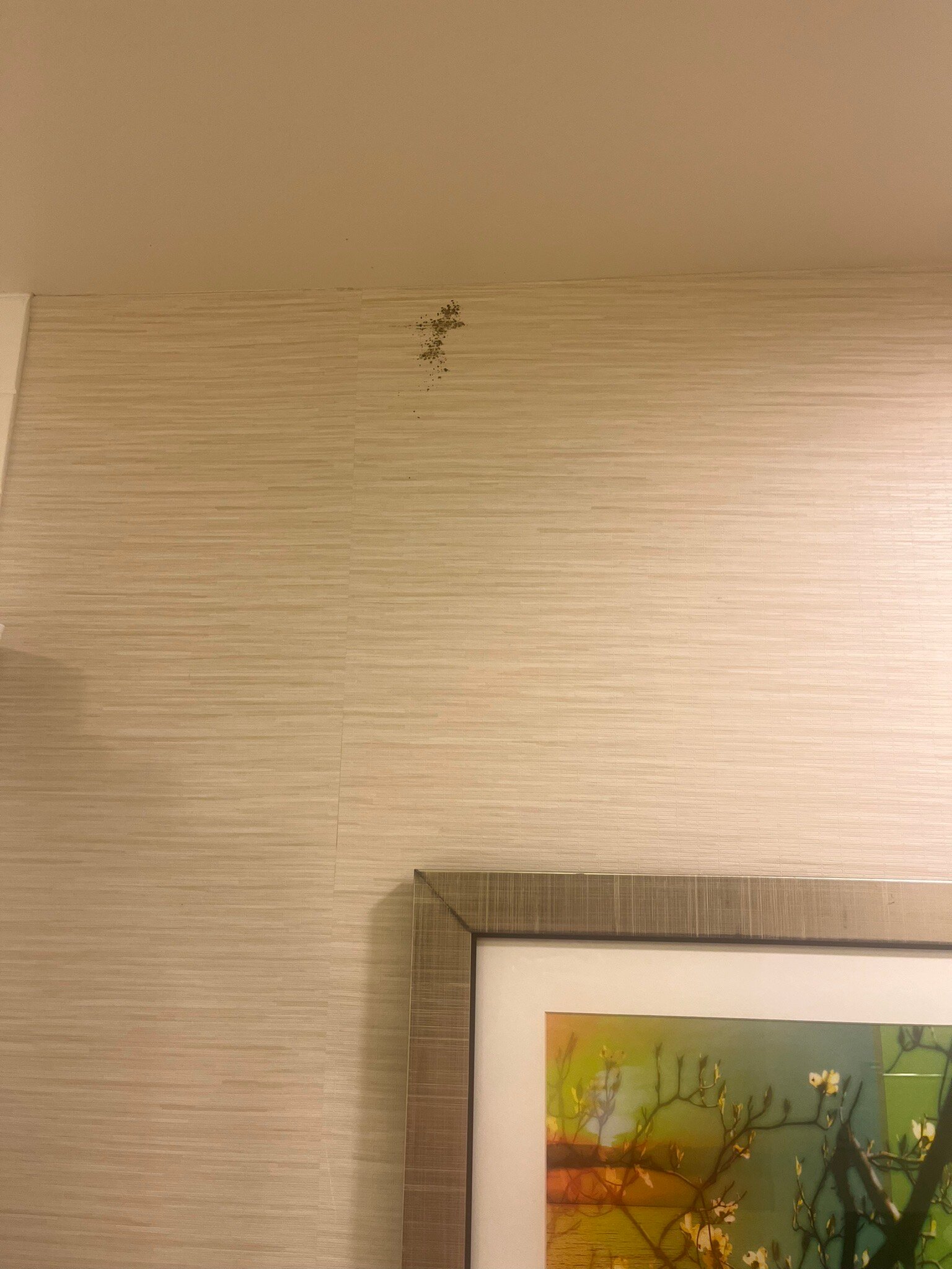 Fairfield Inn & Suites Atlanta Lithia Springs-官方