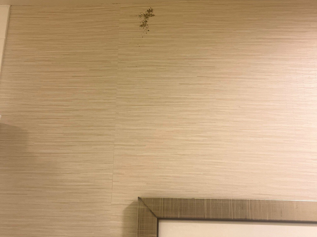 Fairfield Inn & Suites Atlanta Lithia Springs主图