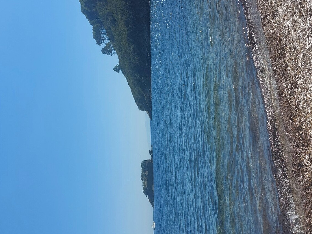 Spiaggia Calanova景点图片