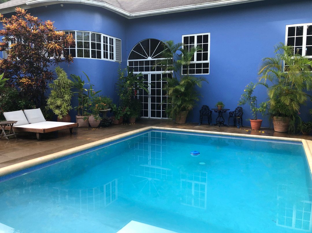 The Blue House Bed and Breakfast主图