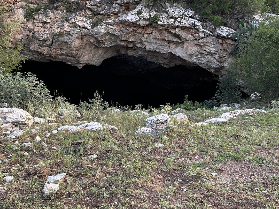 Frio Bat Flight Tours-Concan必去景点