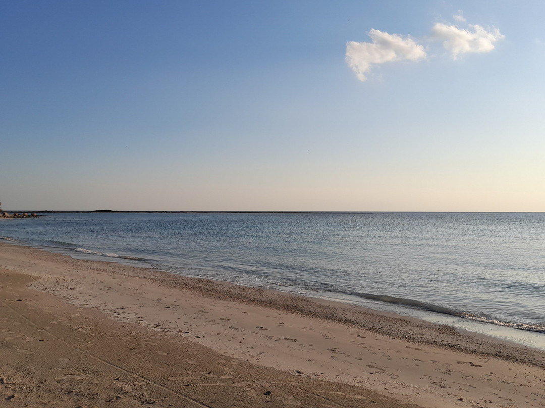 Goa Beach景点图片