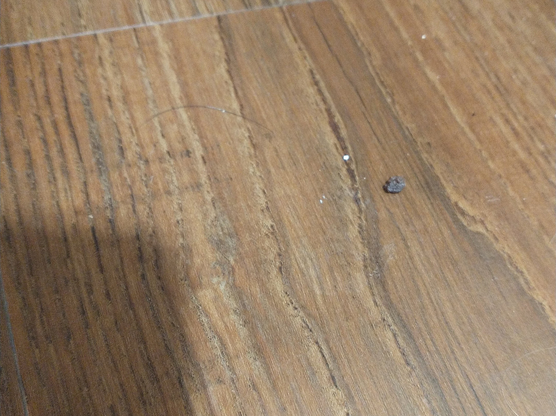 Hilton Garden Inn North Houston/spring主图