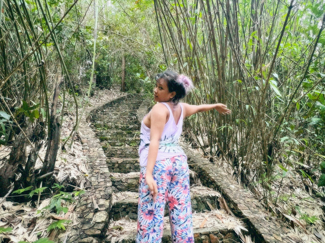 Sanctuaria Treehouses Busuanga主图