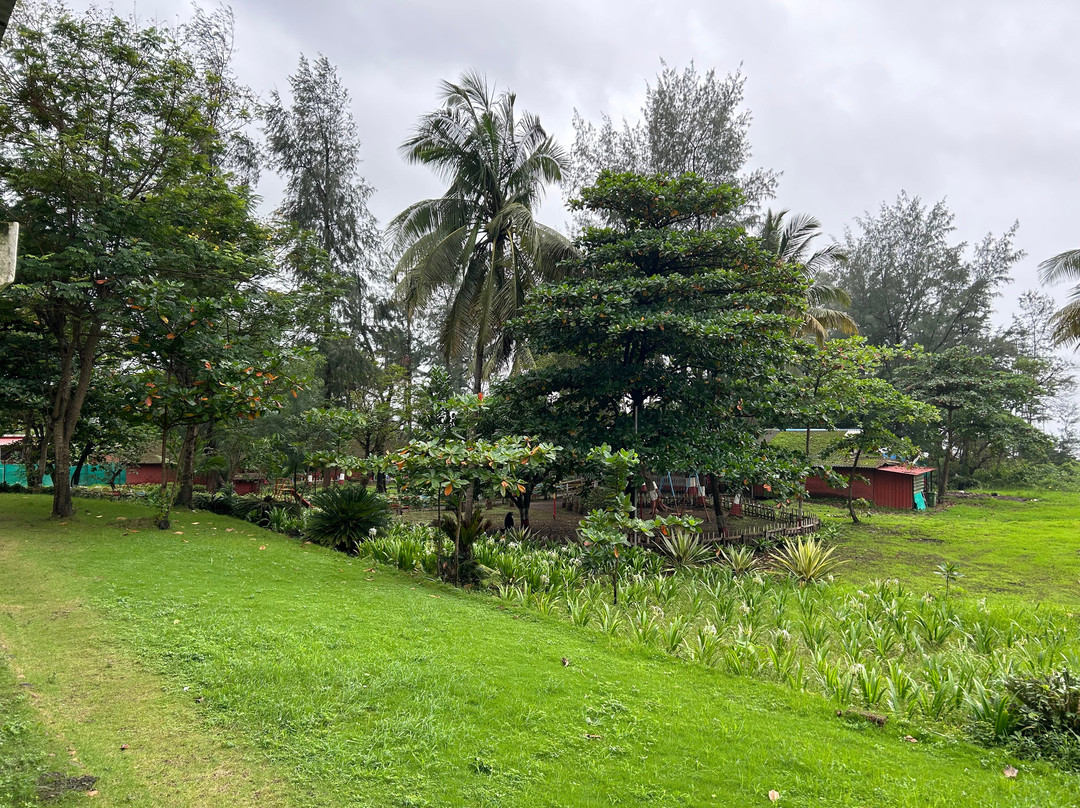 Lotus Eco Beach Resort Murud-Dapoli主图