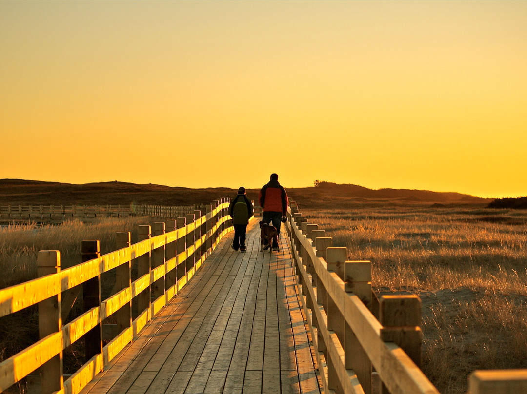 St. Christopher's Hotel主图