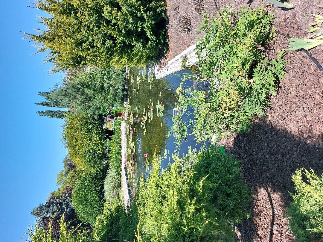 Botanical Garden of the University of Wrocław景点图片