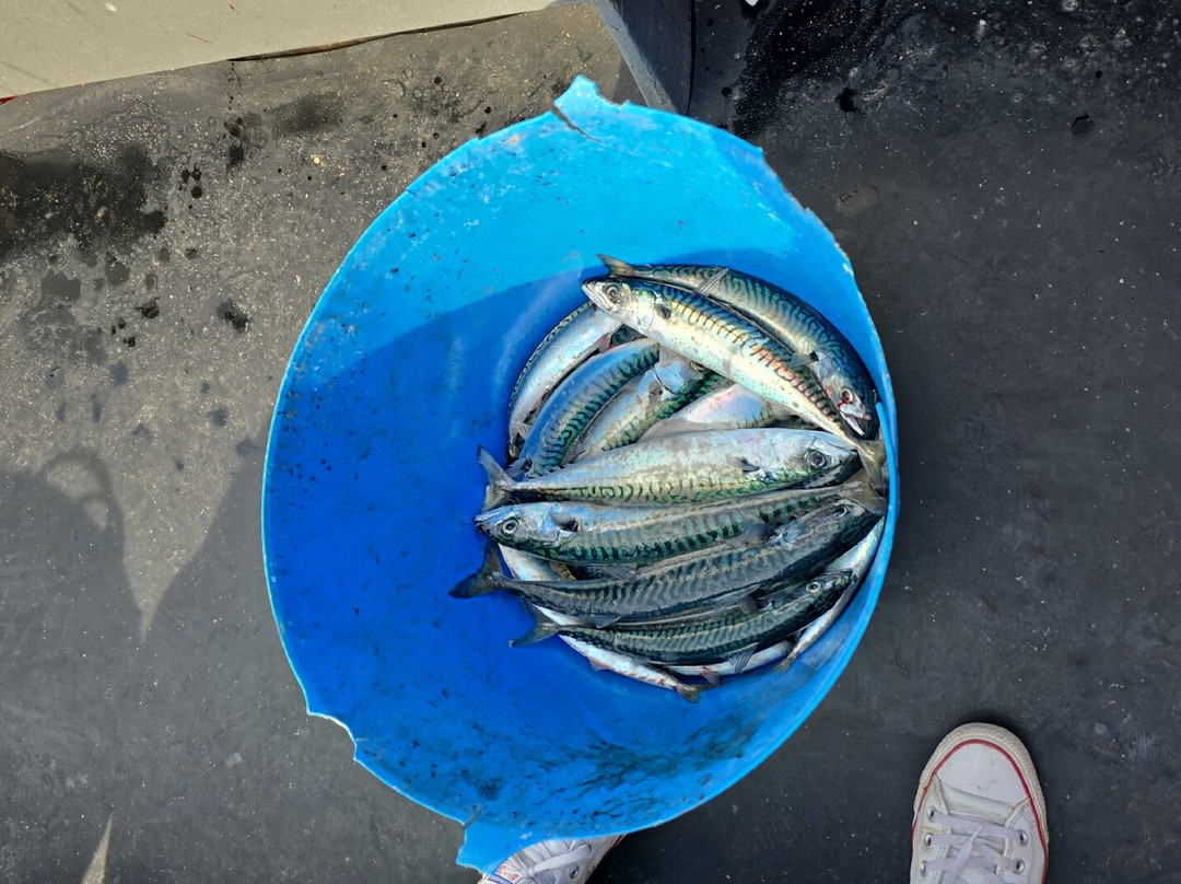 Moray Firth Fishing Charters-Burghead必去景点